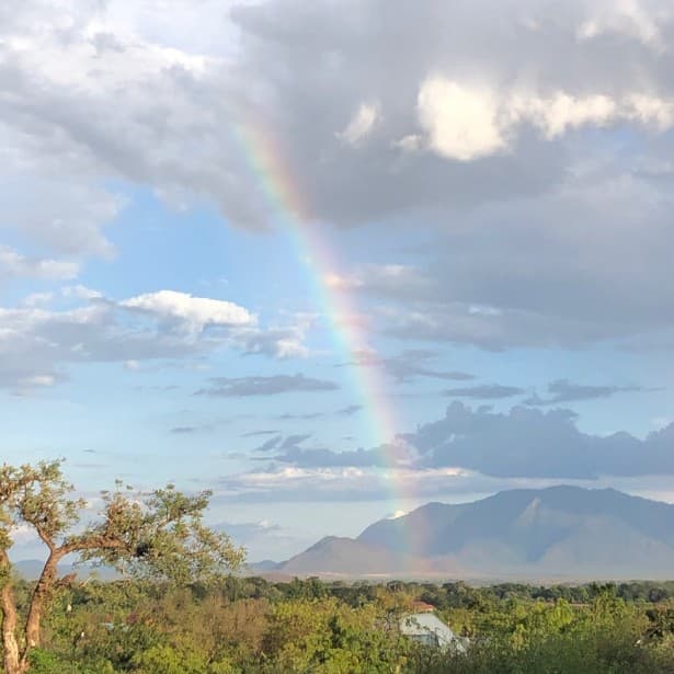 Climb2Kili Safari und Mountain Travel Highlight