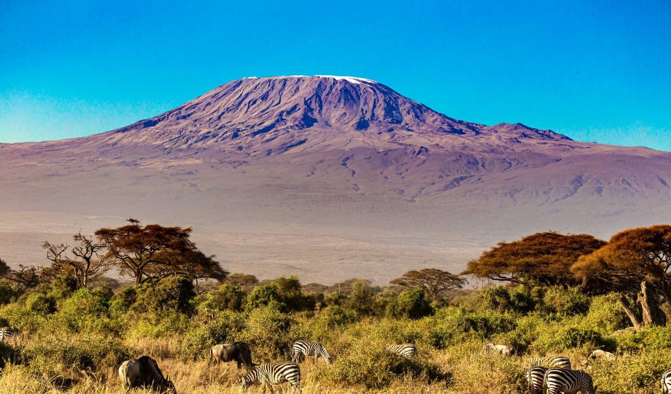 Kilimanjaro erklimmen
