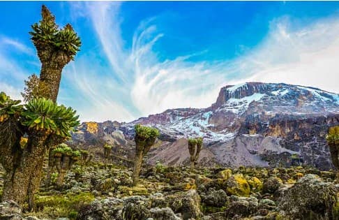 Machame Route on Mount Kilimanjaro