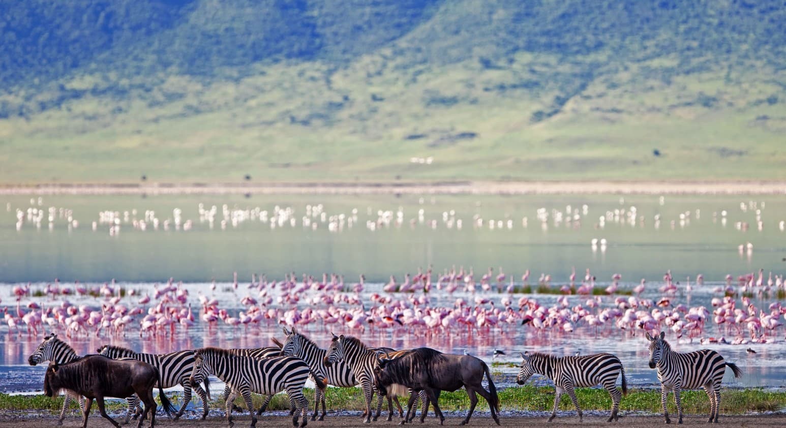 Krater Ngorongoro