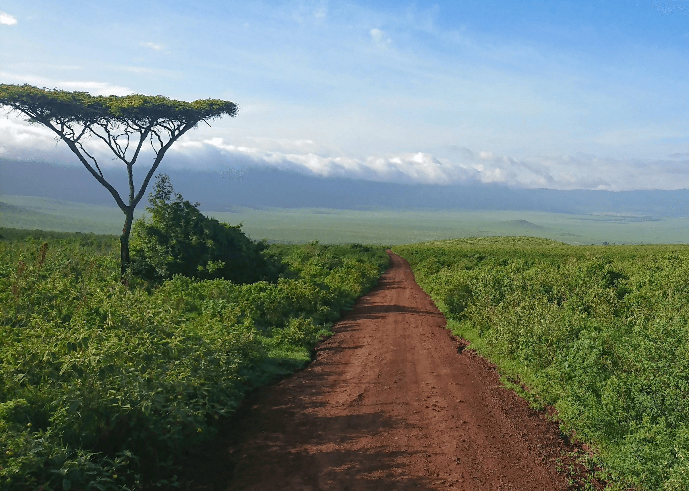 Safari Landschaft